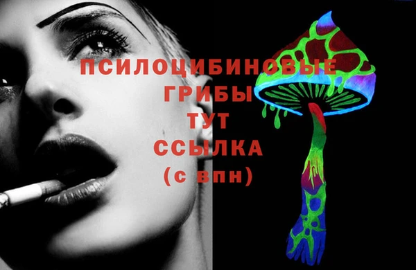 крисы Абдулино