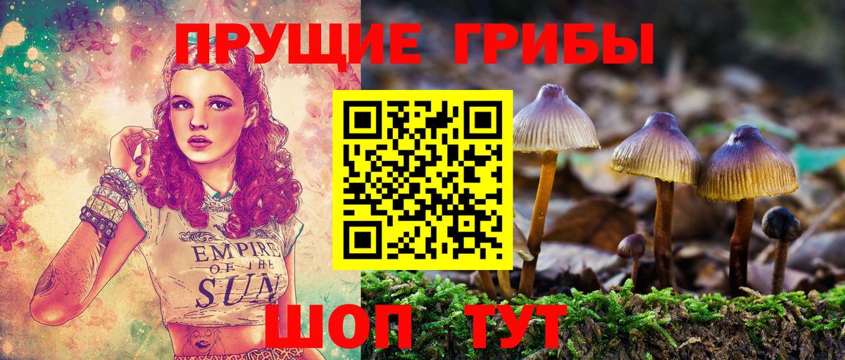 Псилоцибиновые грибы прущие грибы Дивногорск