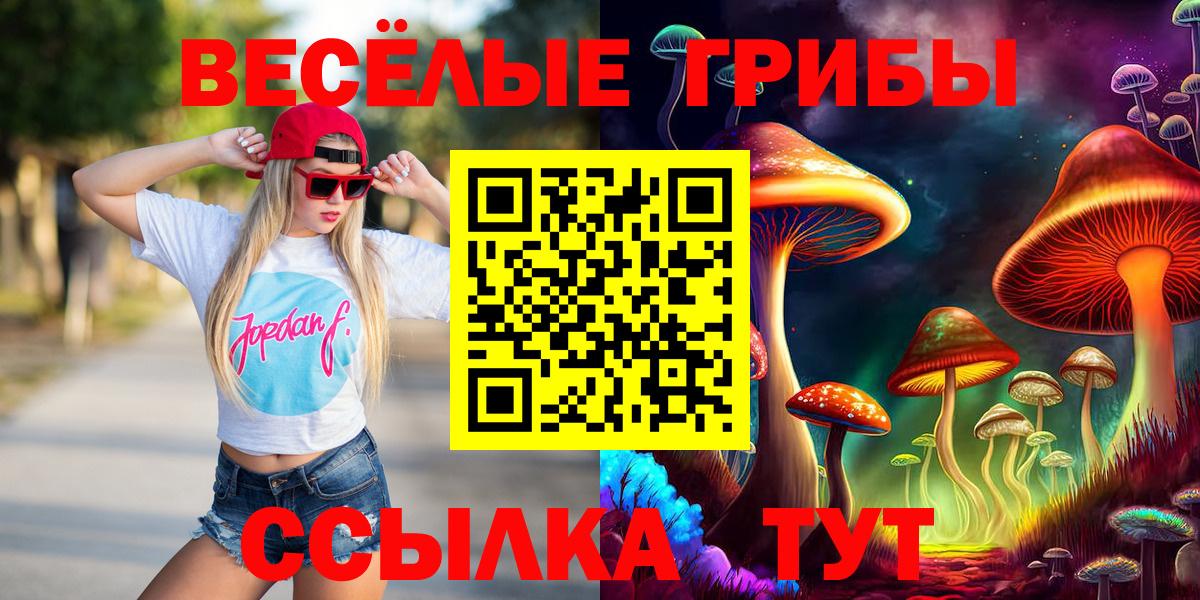 Дивногорск  Псилоцибиновые грибы GOLDEN TEACHER  Вход с VPN 